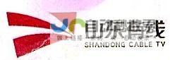 莱州网络公司